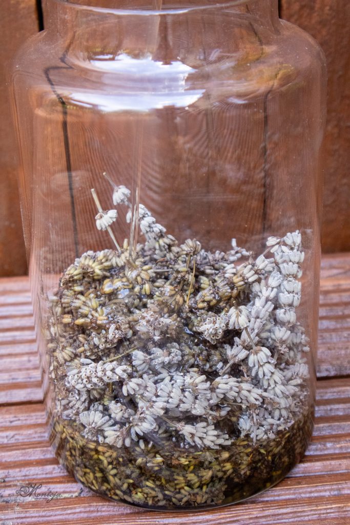 Clear glass jar filled with dried lavender buds, showcasing natural texture, muted purple tones, and herbal apothecary style.