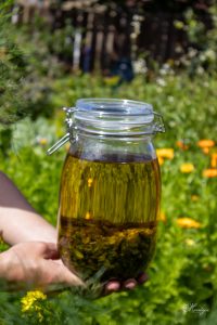 Hands holding a glass jar of dried botanicals infusing in oil – natural skincare preparation in Midlothian