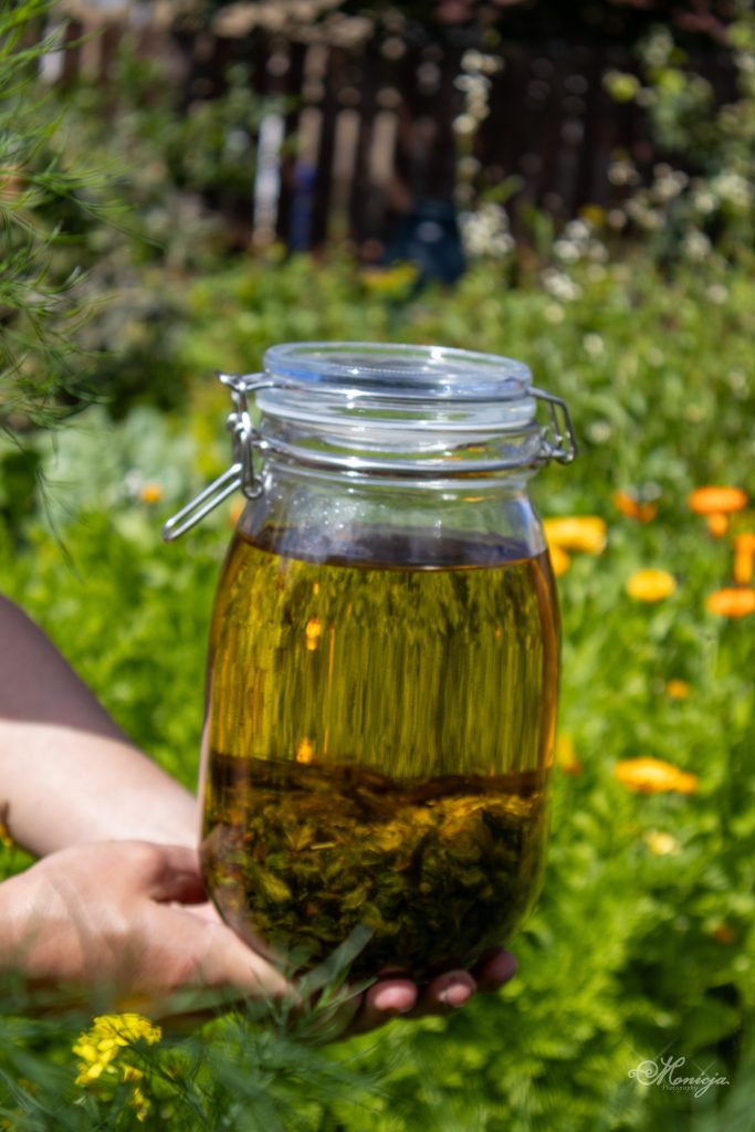 Hands holding a glass jar of dried botanicals infusing in oil – natural skincare preparation in Midlothian